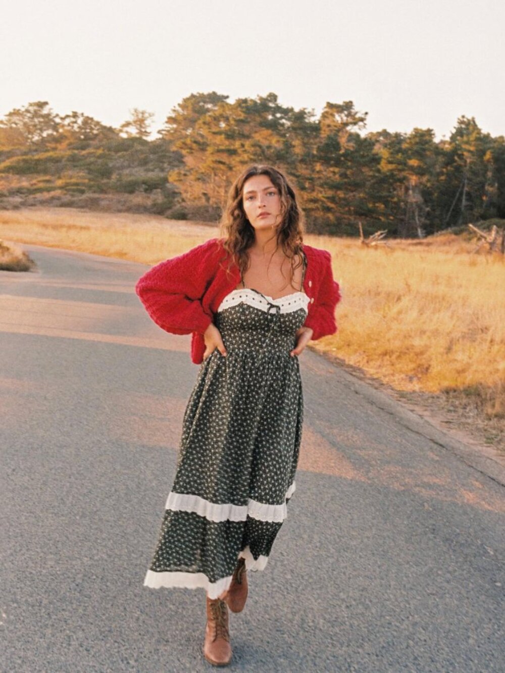Christy Dawn Emma Dress in Night Strawberry